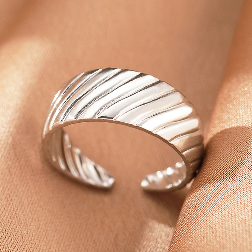 Collection of classic stainless steel rings :